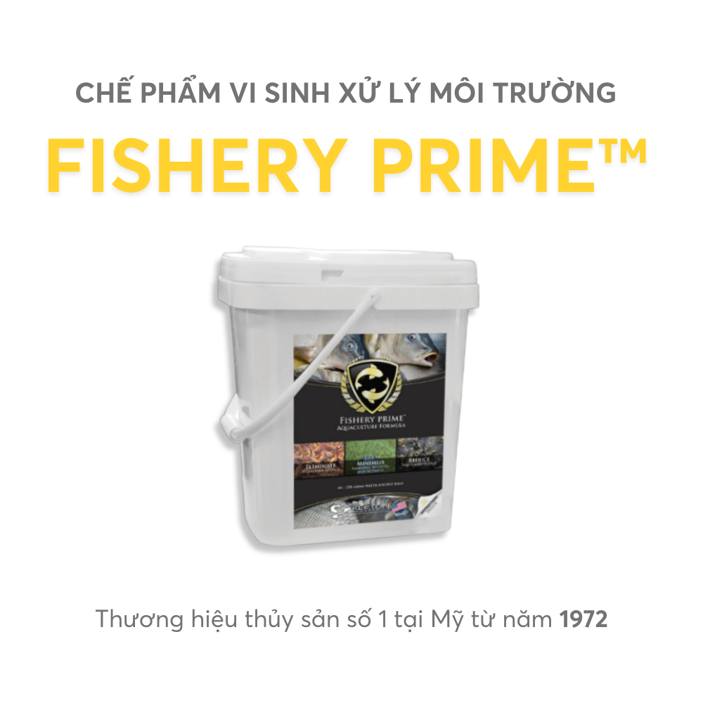FISHERY PRIME™ - Ảnh 5