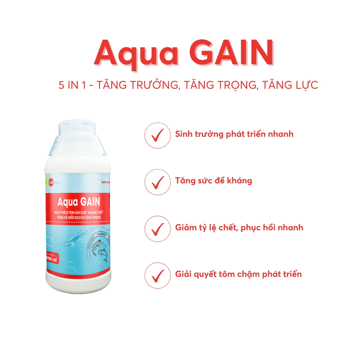 Aqua GAIN - Ảnh 4