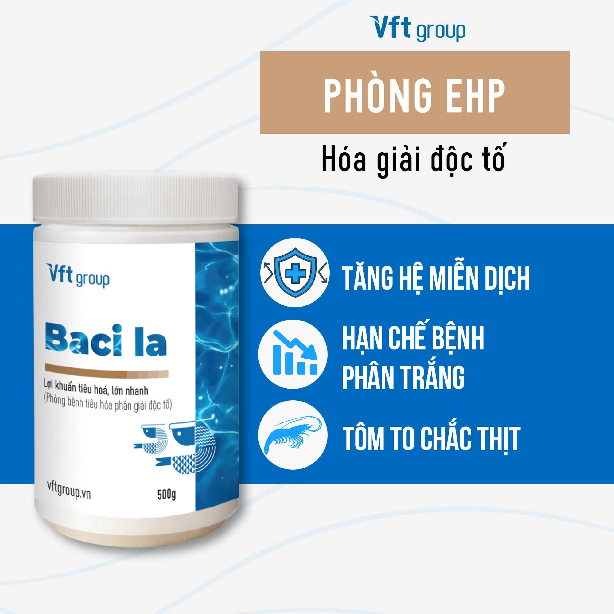 Baci La - Ảnh 4