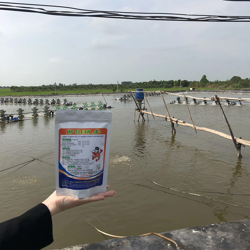 BP ClearA+ - Ảnh 4