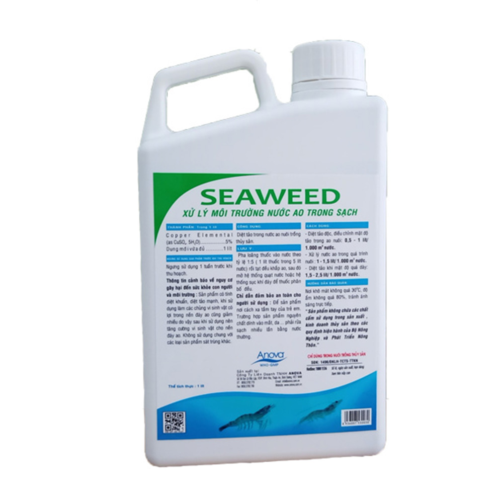SEAWEED - Ảnh 2