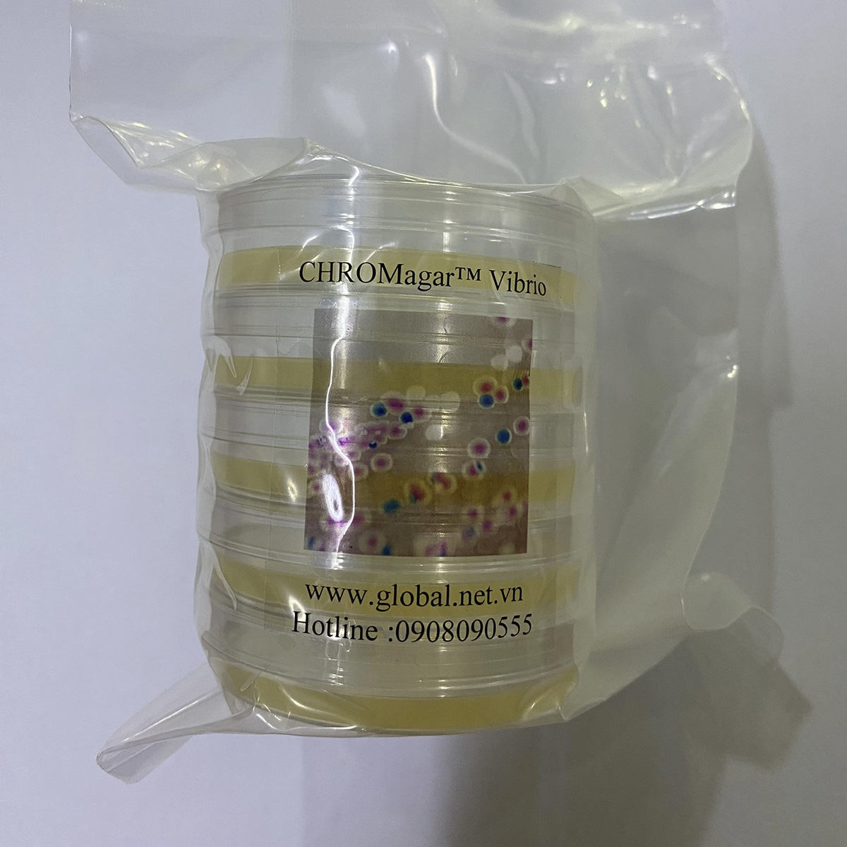 CHROMagar™ Vibrio - Ảnh 2