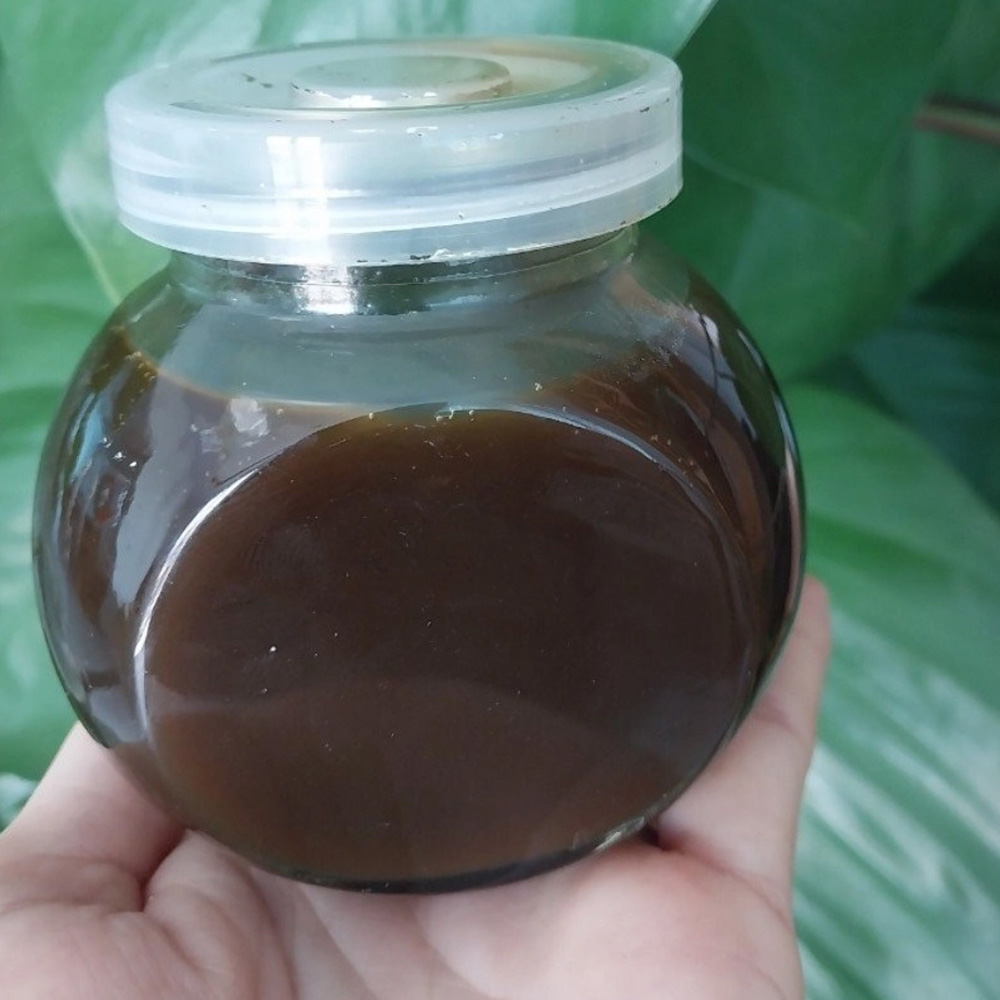 Dịch cao tỏi đen - Ảnh 2