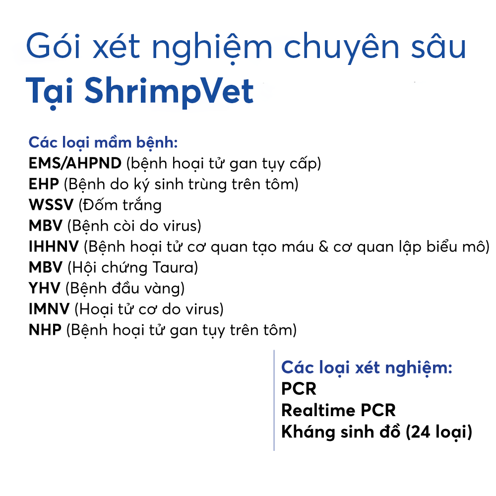 Gói xét nghiệm chuyên sâu tại ShrimpVet - Ảnh 6