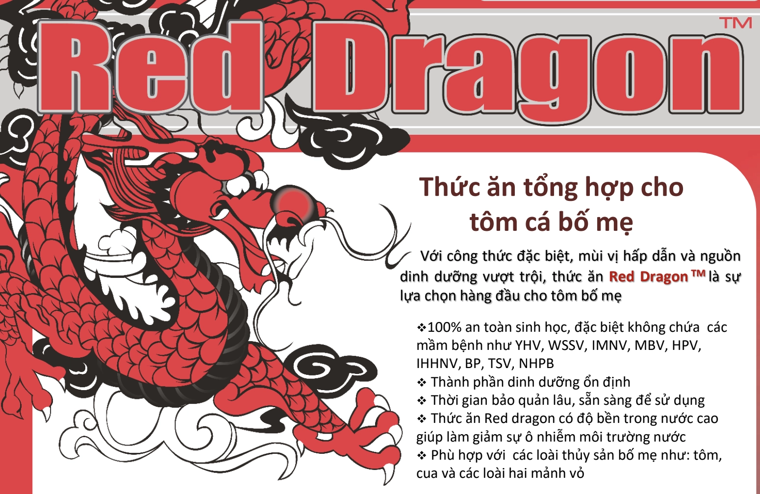 Mực làm giàu đông lạnh - Ảnh 7