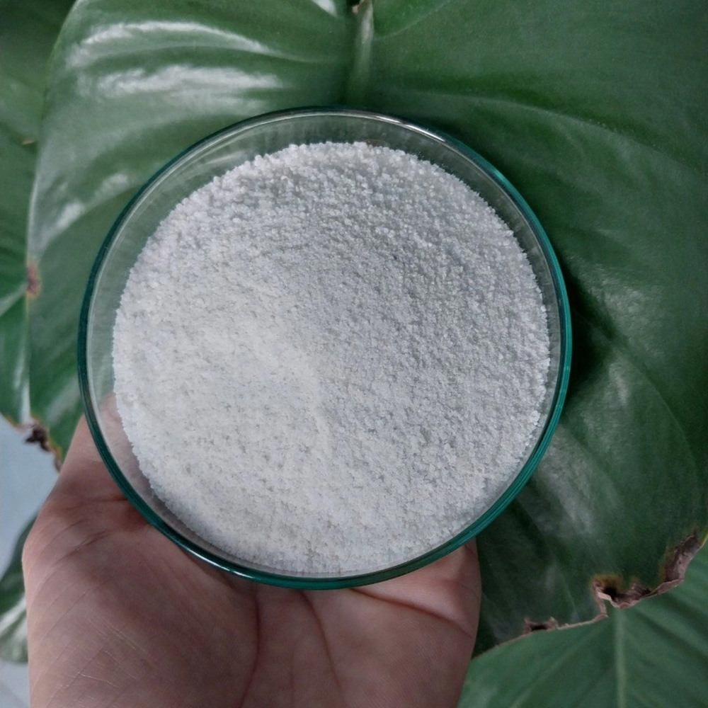 NEOBATES- Enzyme xử lý nước - Ảnh 3