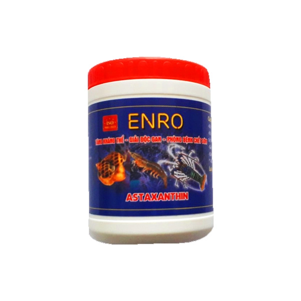 ENRO