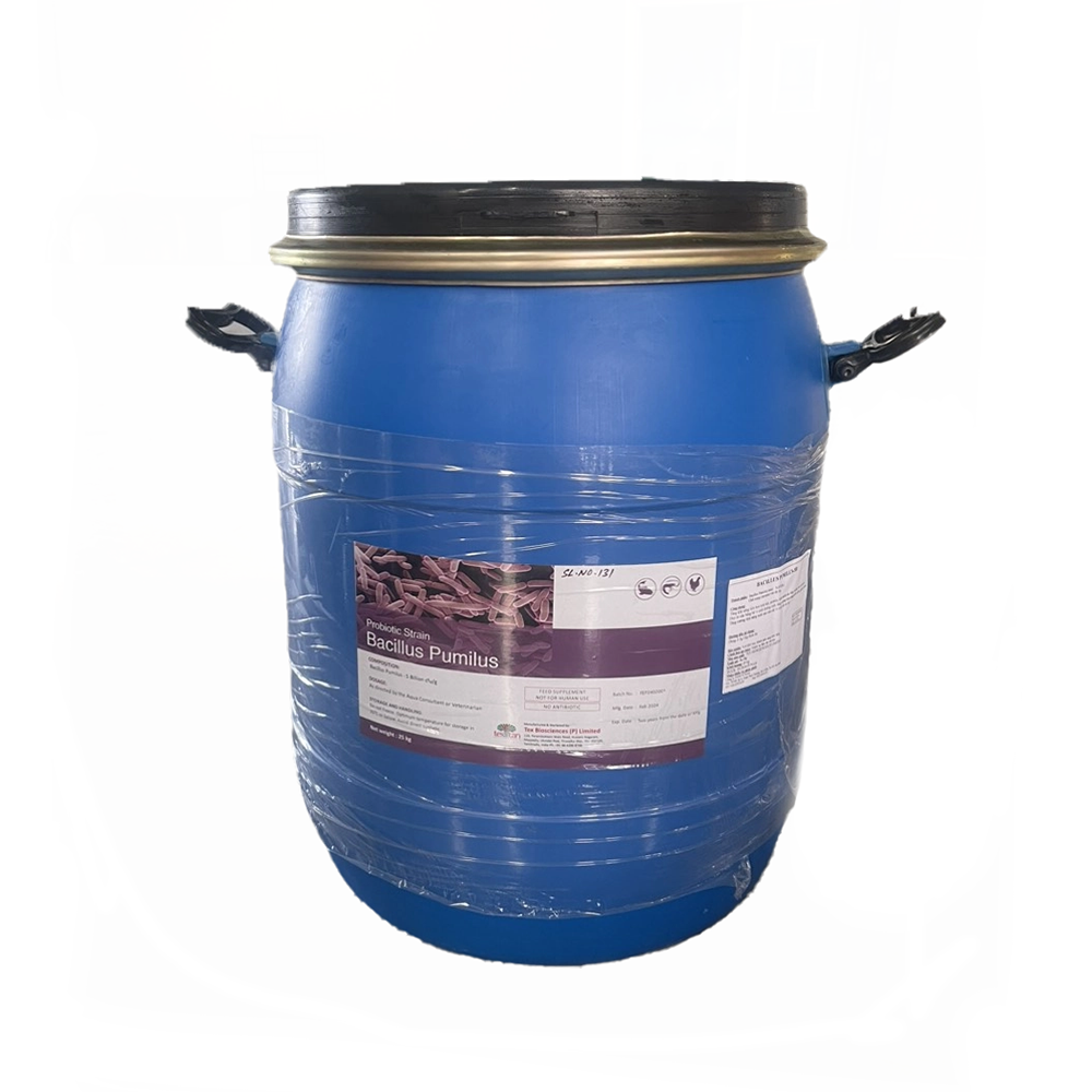 Vi sinh BACILLUS PUMILUS xử lí nước và cho ăn hỗ trợ đường ruột tôm cá
