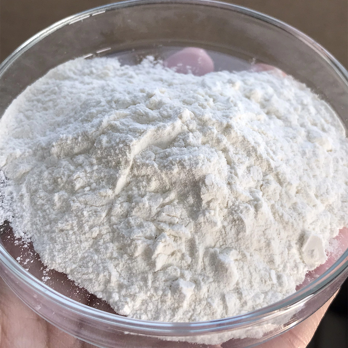 BACILLUS SUBTILIS - Ảnh 2