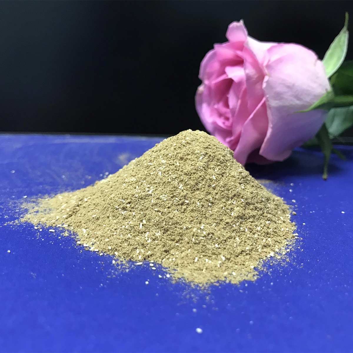 BIOSAC YUCCA - Ảnh 3