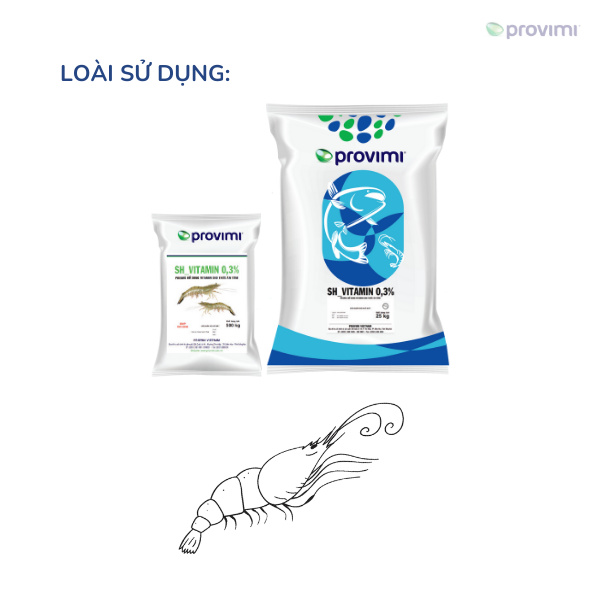 SH_Vitamin - Ảnh 3