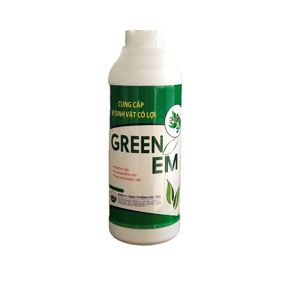 GREEN EM - Ảnh 2