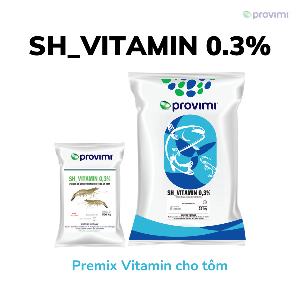 SH_Vitamin - Ảnh 5