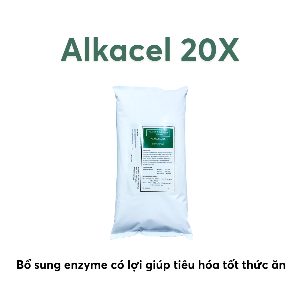 ALKACEL 20X - Ảnh 5
