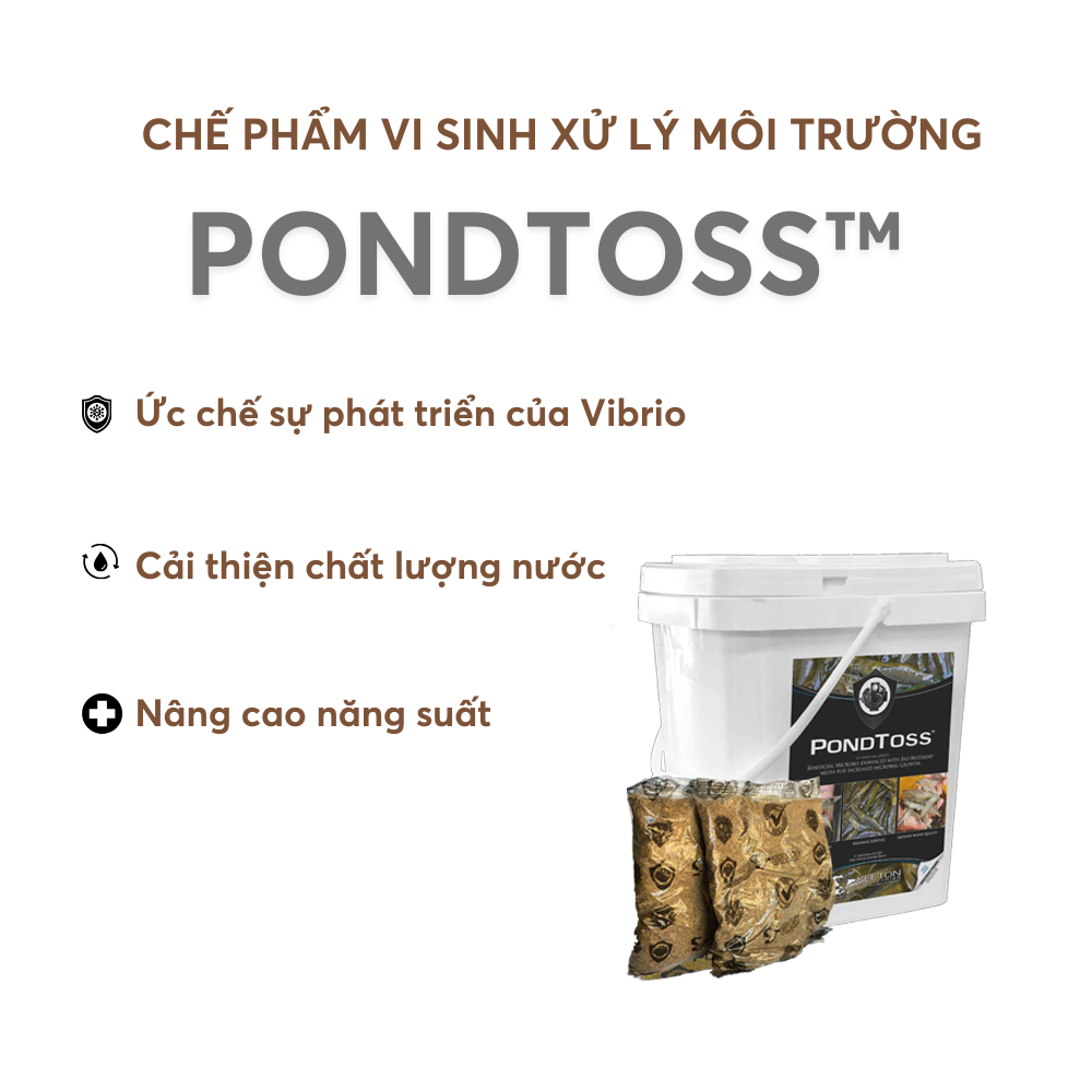 PONDTOSS™ - Ảnh 3