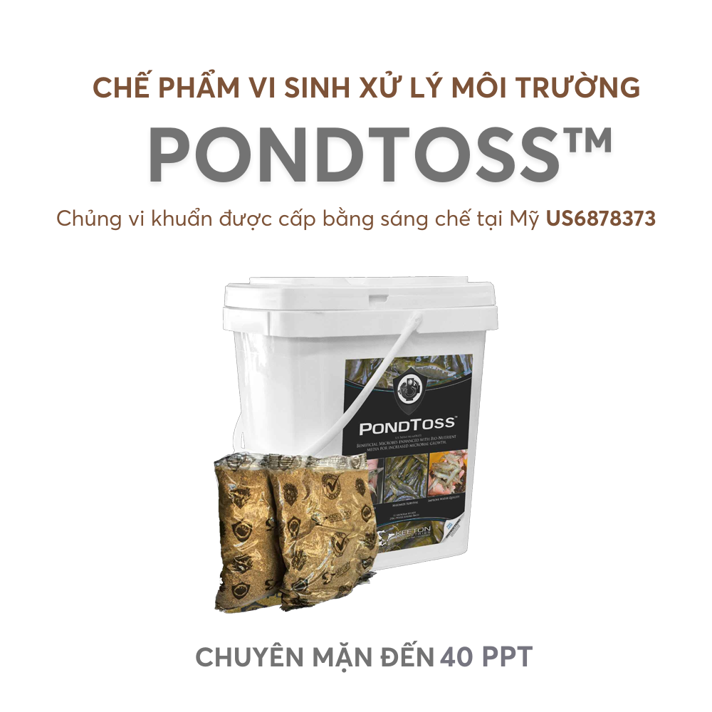 PONDTOSS™ - Ảnh 4