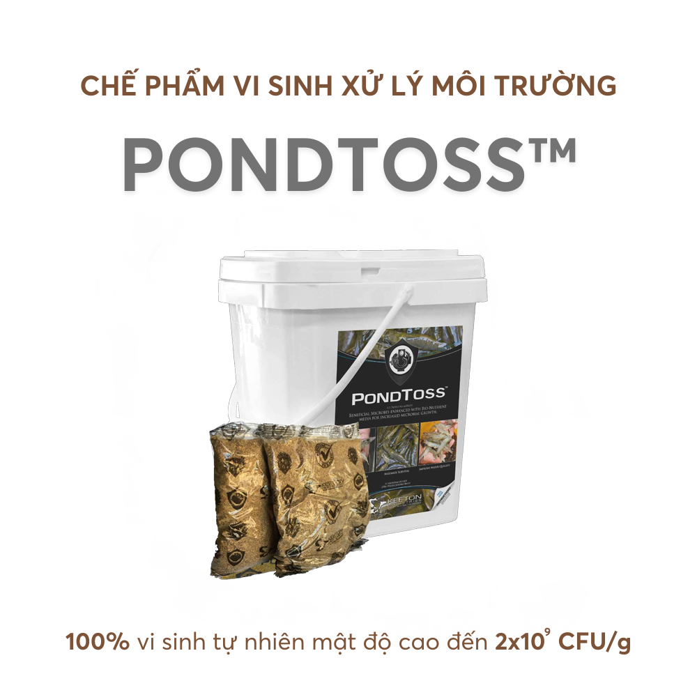 PONDTOSS™ - Ảnh 5