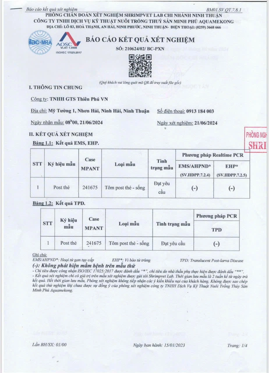 Giống Thẻ Chân Trắng - Thiên Phú VN - Ảnh 3