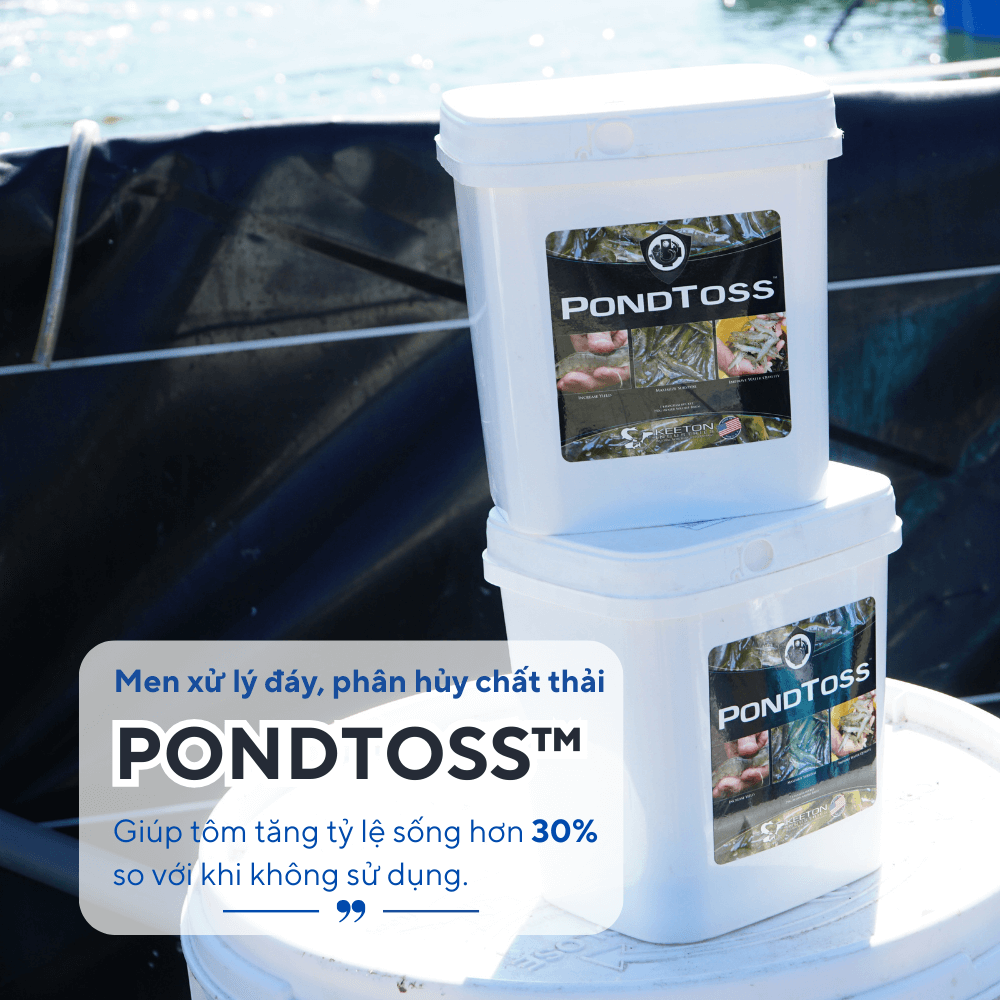 PondToss - Ảnh 3