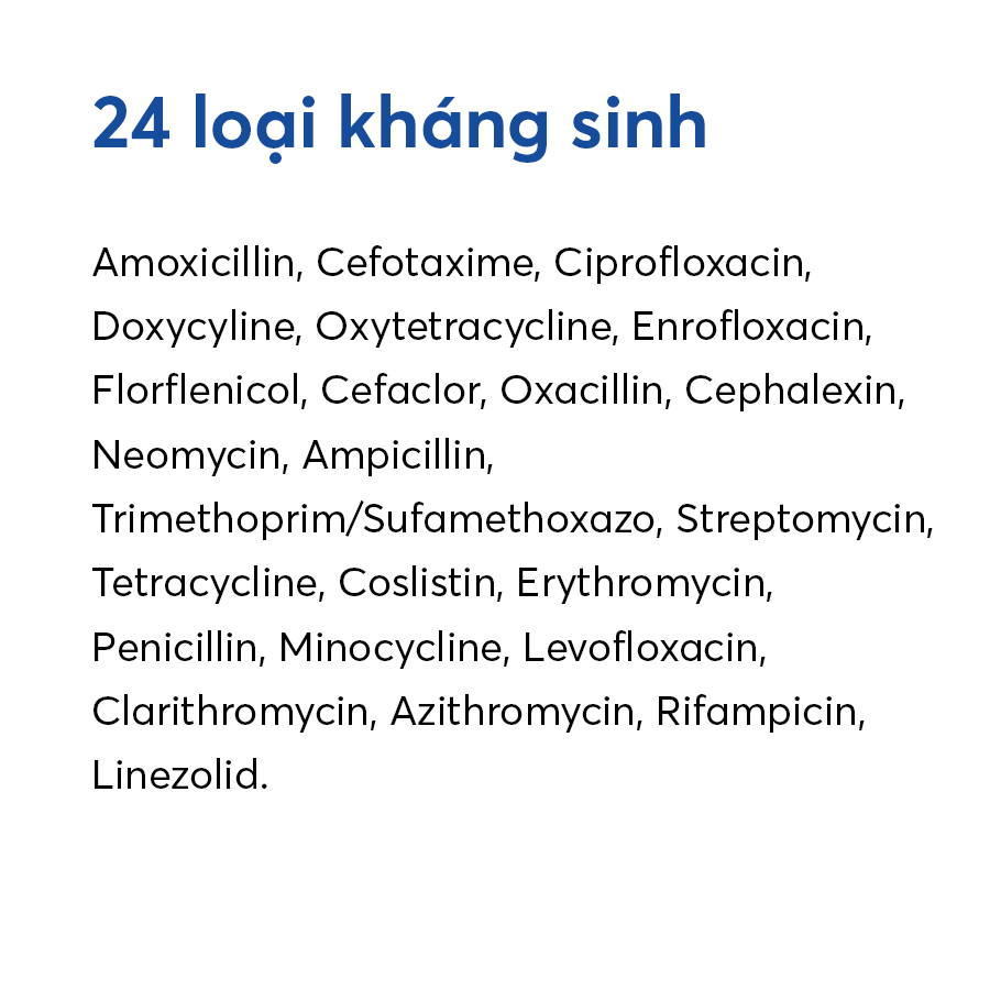 Kháng sinh đồ - Ảnh 2