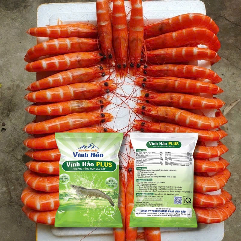 Khoáng chất Vĩnh Hảo Plus - Ảnh 2