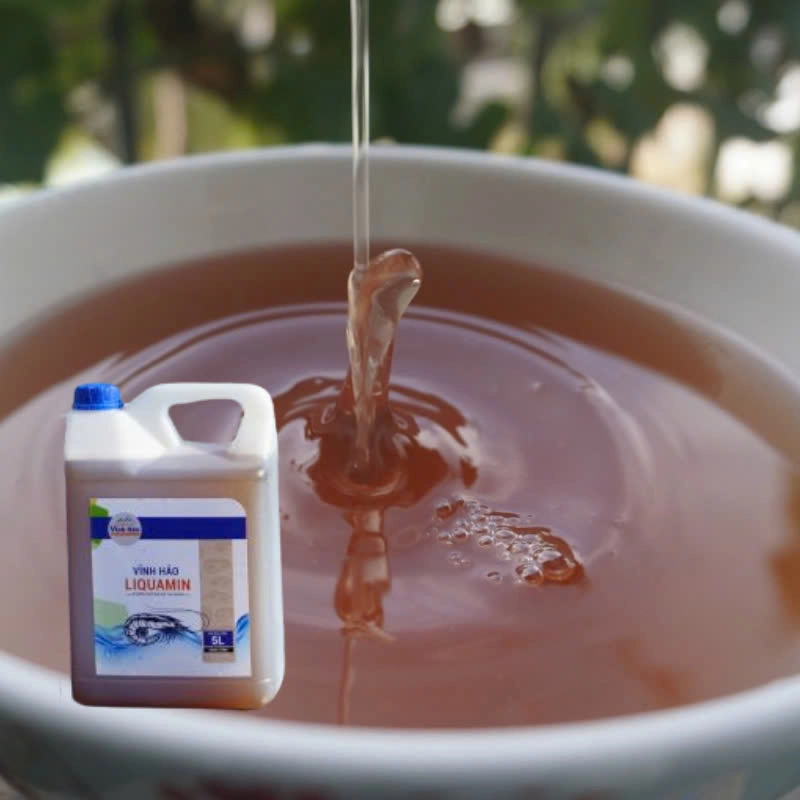 Vĩnh Hảo LiquaMin - Ảnh 5