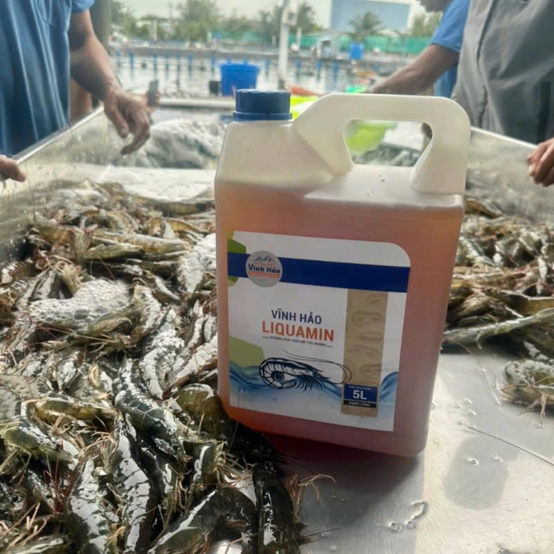 Vĩnh Hảo LiquaMin - Ảnh 6