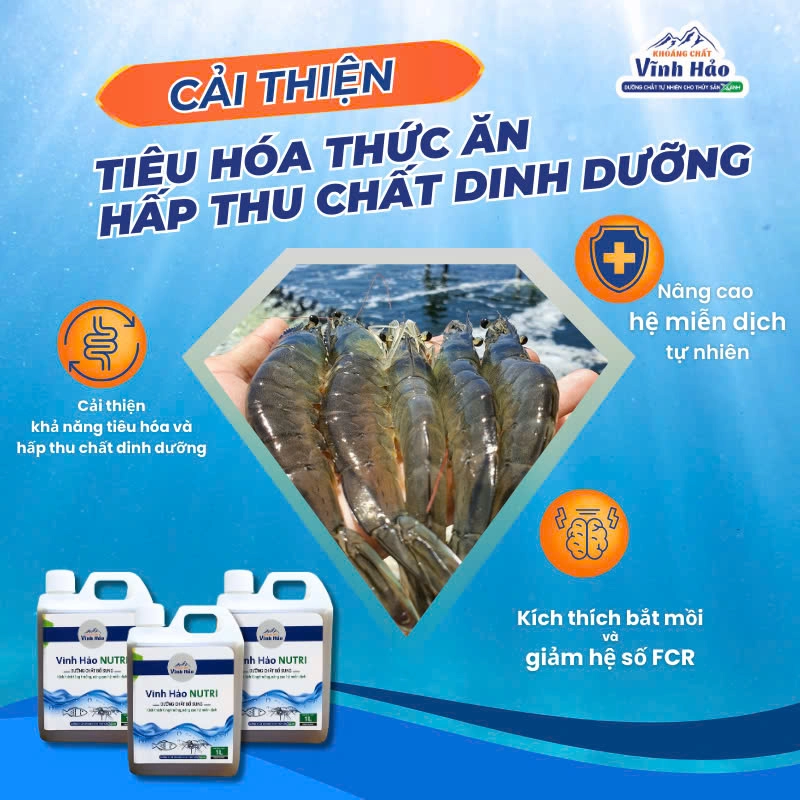 Vĩnh Hảo Nutri - Ảnh 3