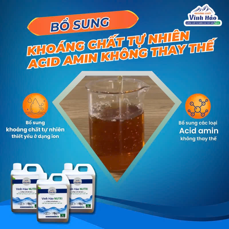 Vĩnh Hảo Nutri - Ảnh 4