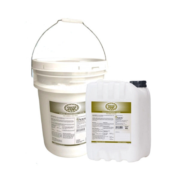 Yucca star nguyên liệu dạng nước Mexico