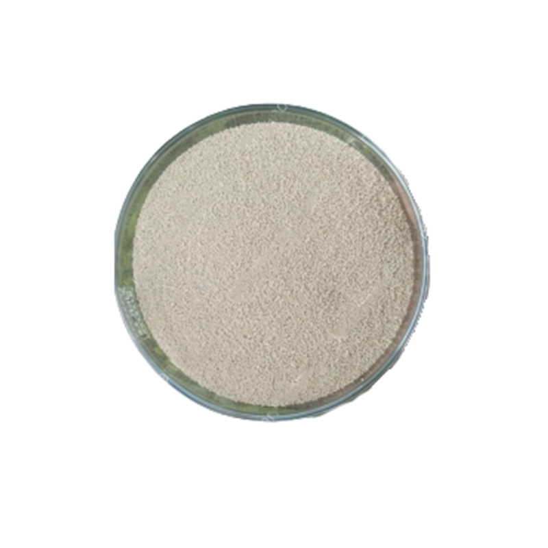 ACTIVE FEED DRY YEAST (B) - Ảnh 3