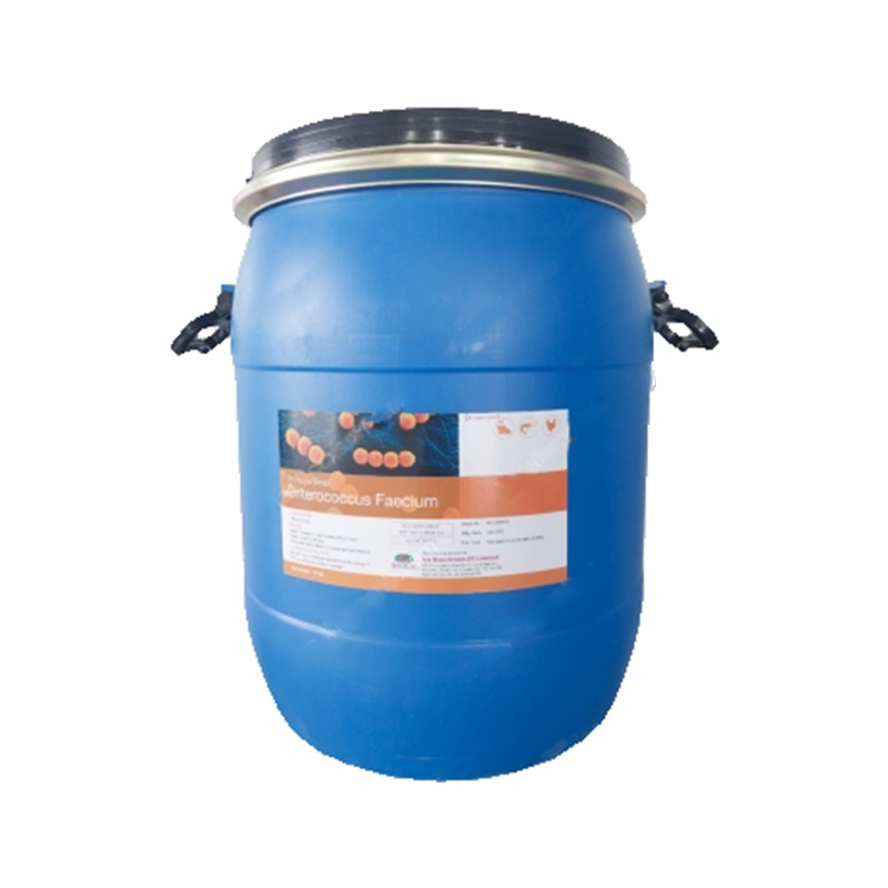 Vi sinh đơn dòng ENTEROCOCCUS FAECIUM