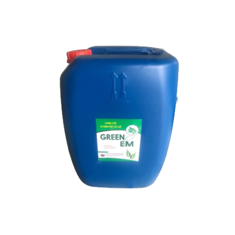 GREEN EM - Ảnh 3