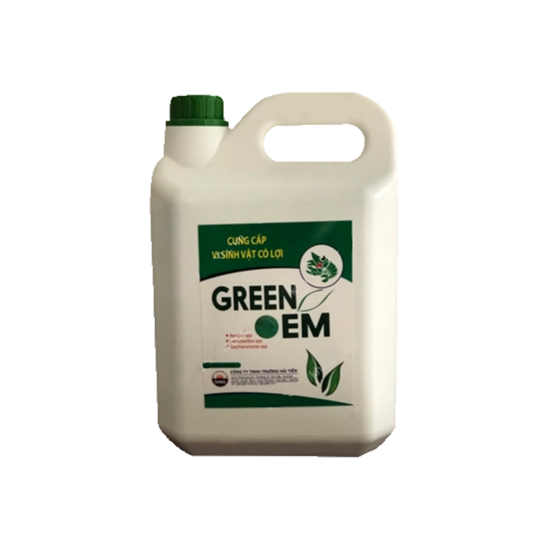GREEN EM - Ảnh 4