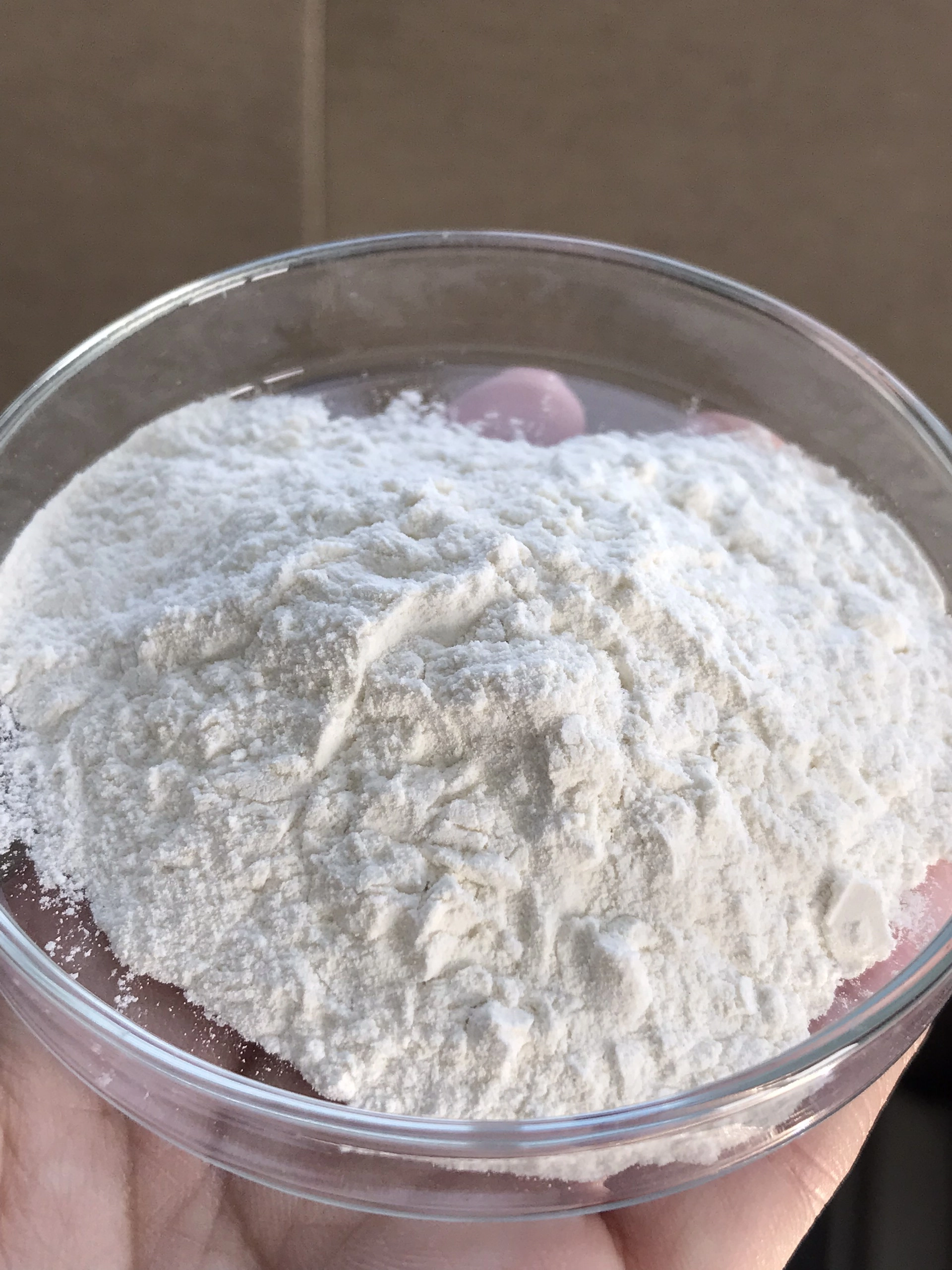 BACILLUS SUBTILIS – Siêu lợi khuẩn xử lý nước, hỗ trợ tiêu hóa - Ảnh 2