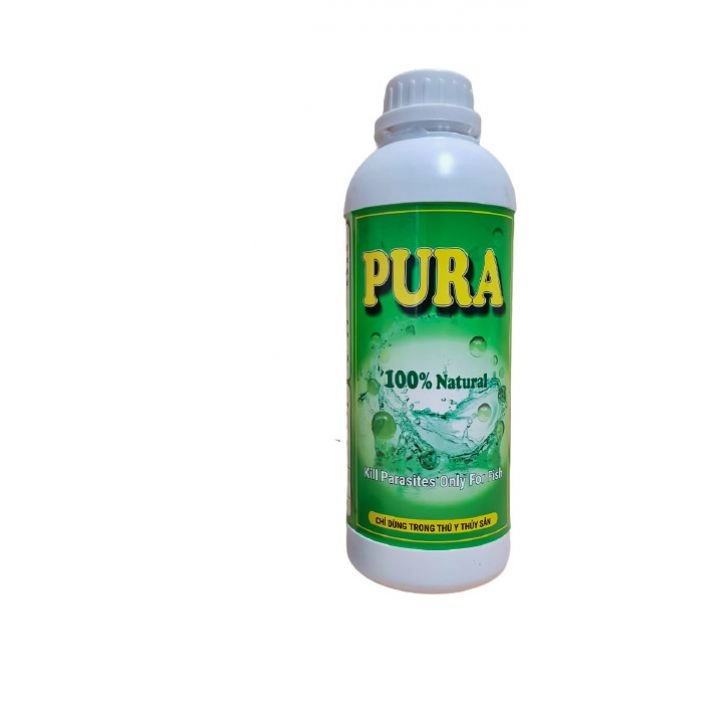 Pura - Ảnh 2