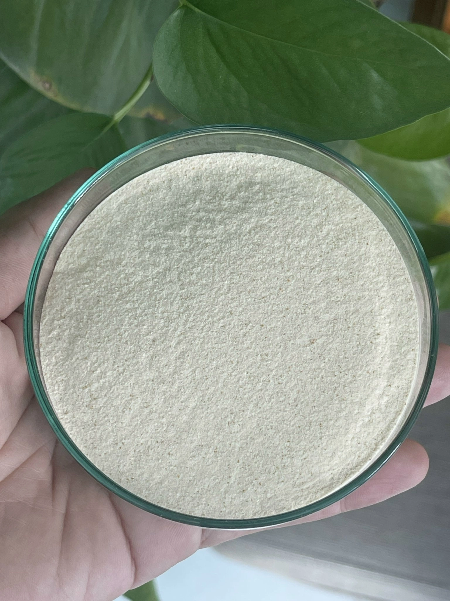 MIAVITA GOLD: Vitamin tổng hợp nhập khẩu Đức, tăng sức đề kháng cho tôm cá, giá tốt - Ảnh 2
