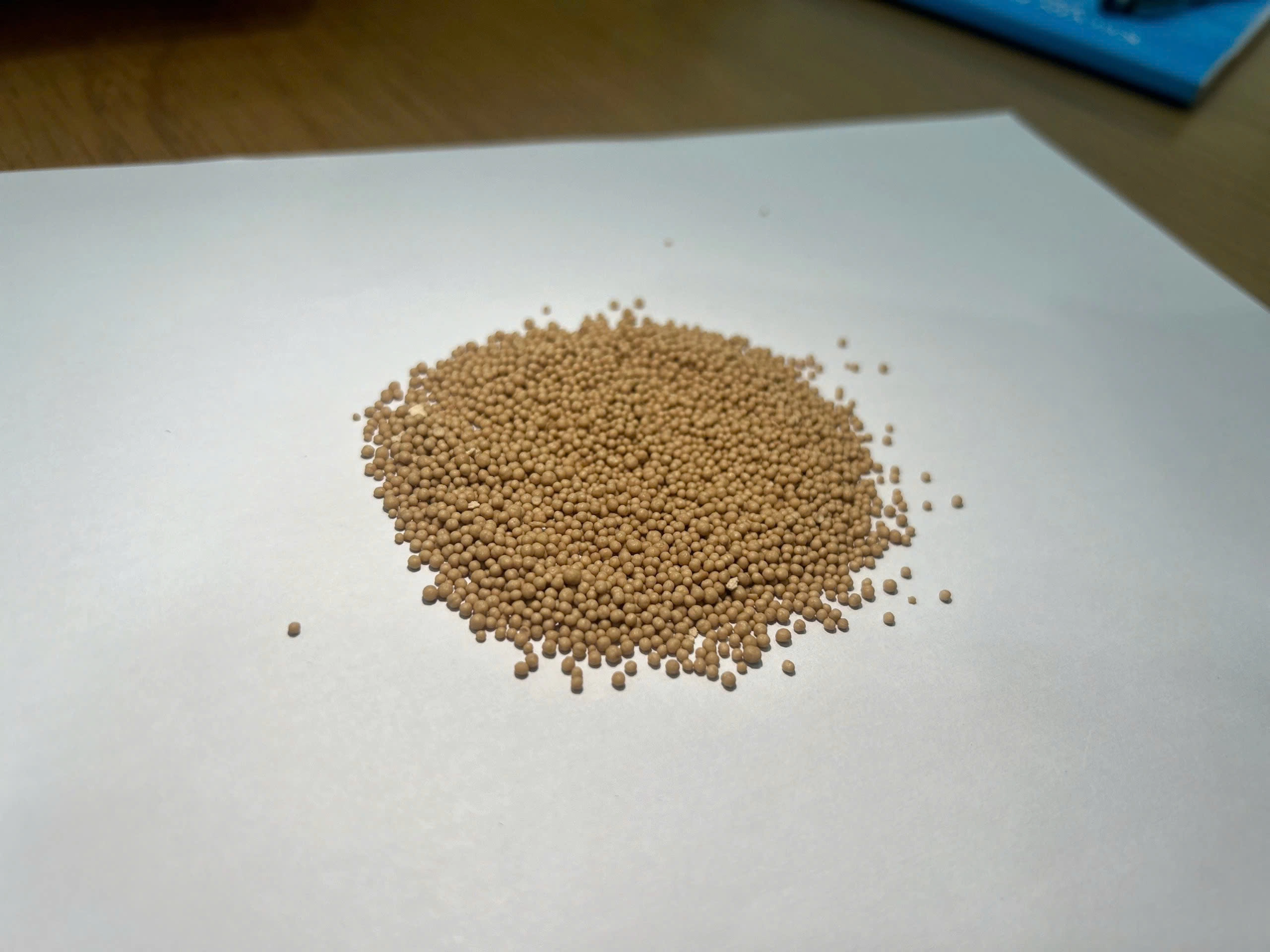 ACTISAF – Men vi sinh đường ruột Saccharomyces đậm đặc - Ảnh 2