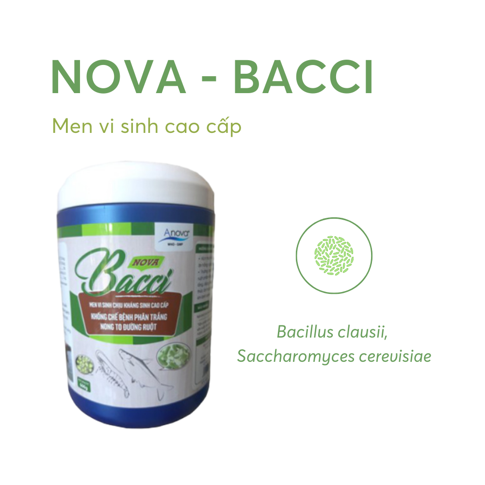 NOVA-BACCI - Ảnh 2