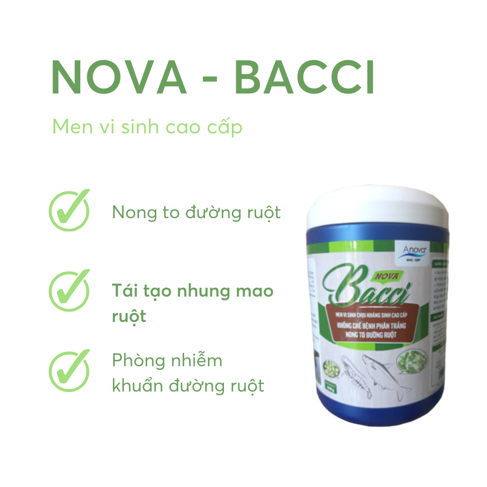 NOVA-BACCI - Ảnh 3