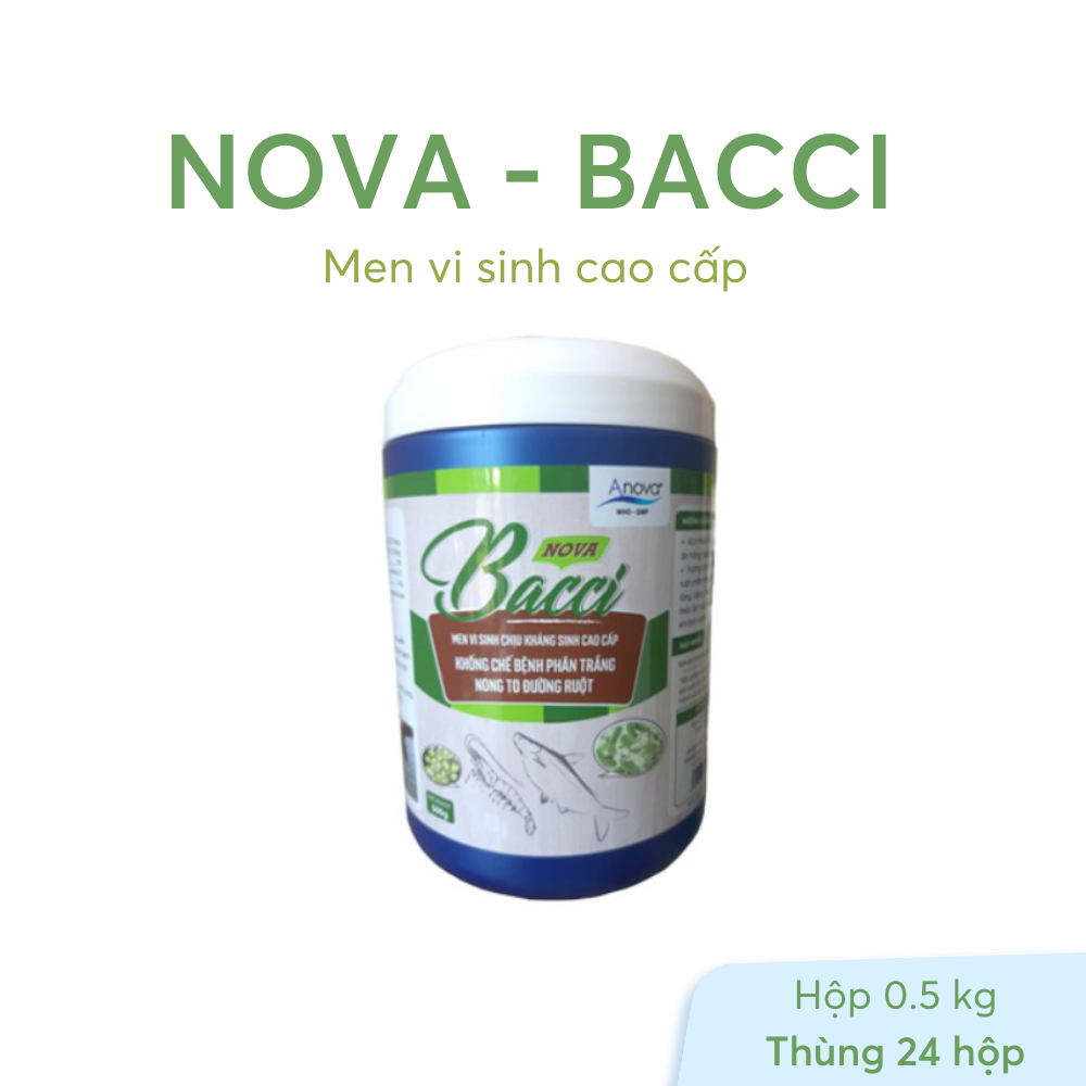 NOVA-BACCI - Ảnh 4