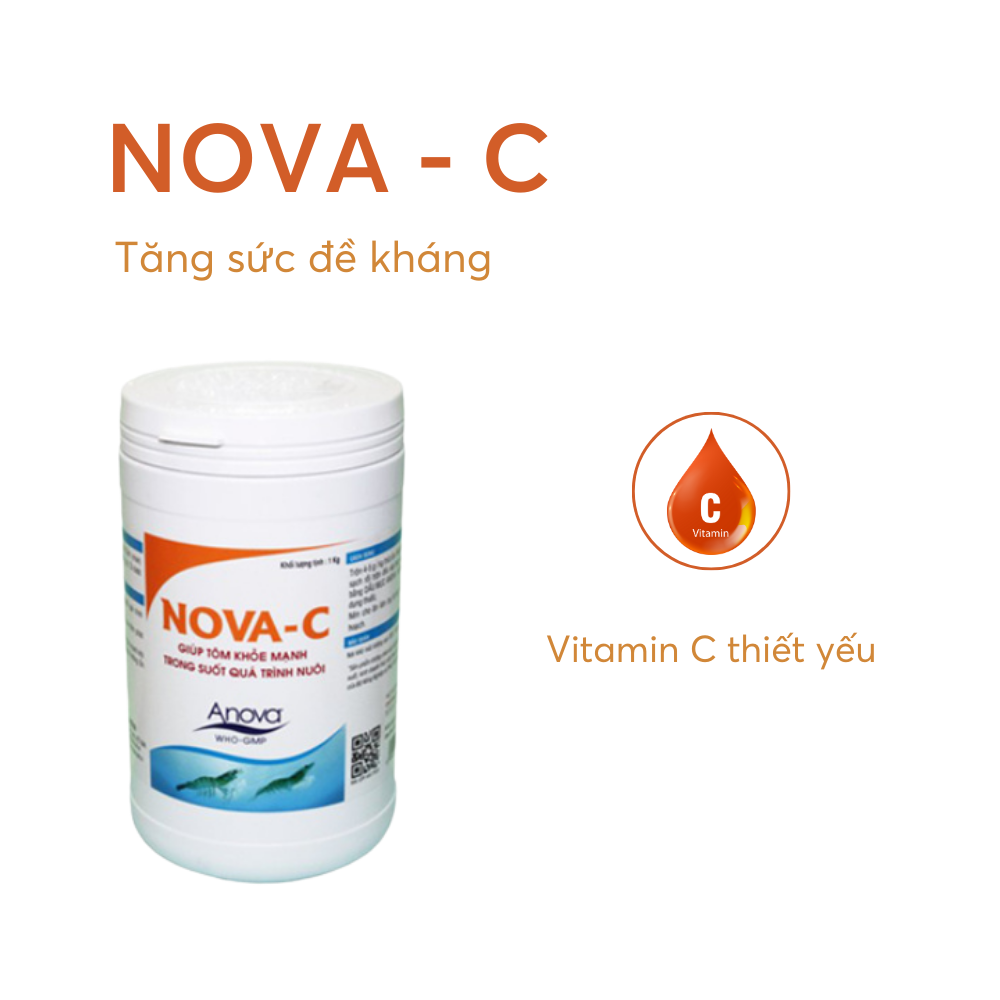 NOVA-C - Ảnh 4