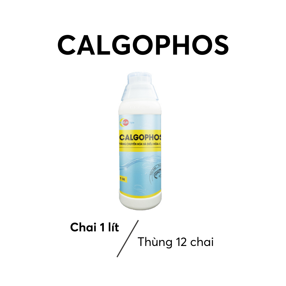CALGOPHOS - Ảnh 5