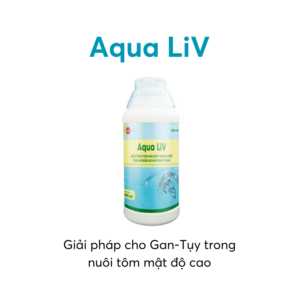 Aqua LiV - Ảnh 2