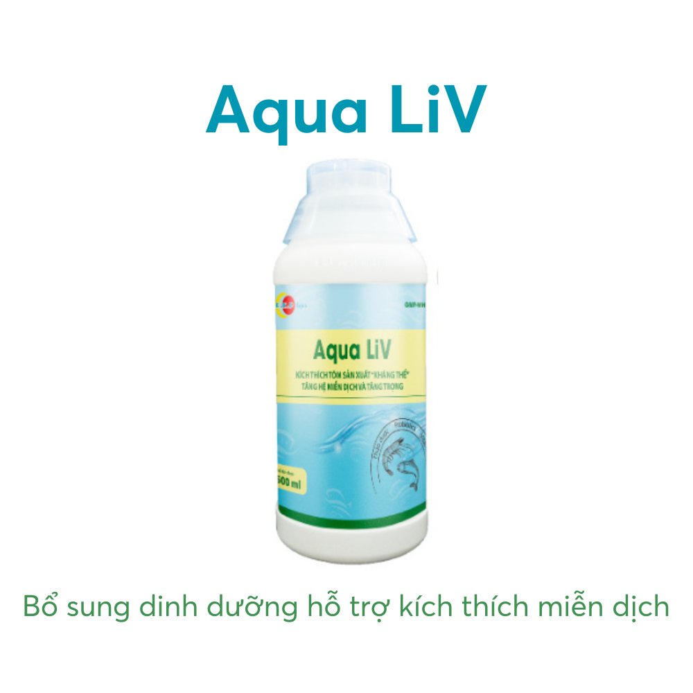 Aqua LiV - Ảnh 3