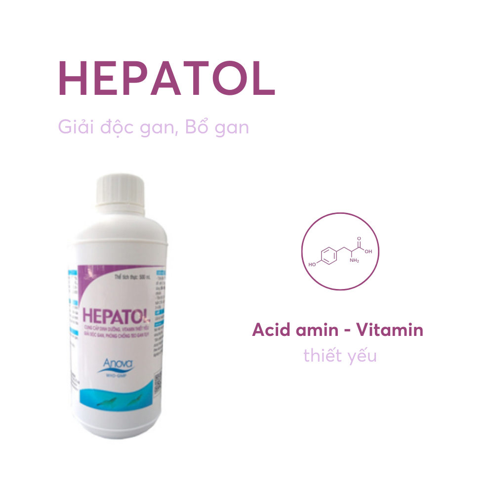 HEPATOL - Ảnh 4