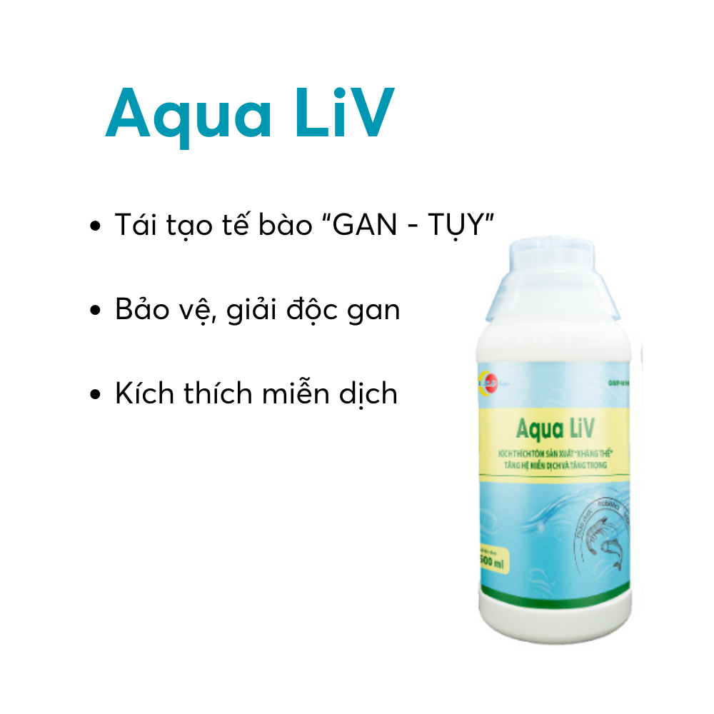 Aqua LiV - Ảnh 4