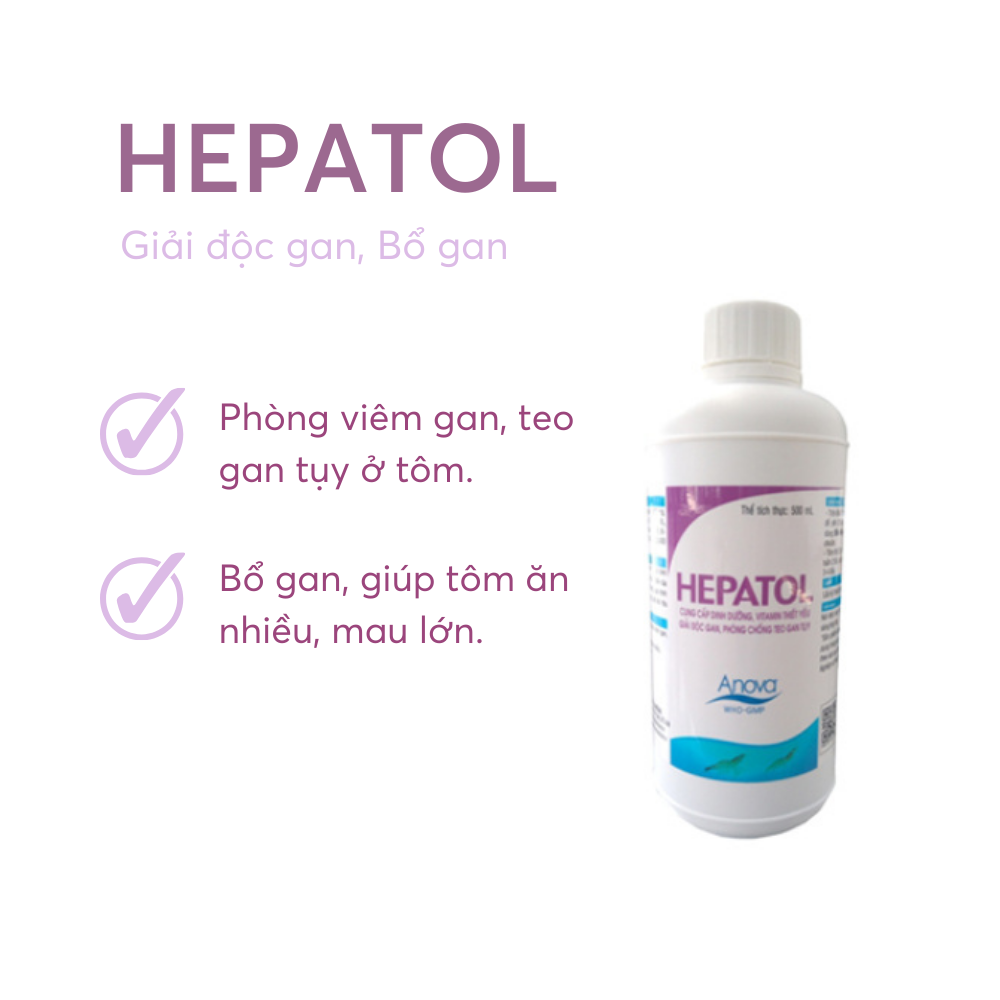 HEPATOL - Ảnh 5
