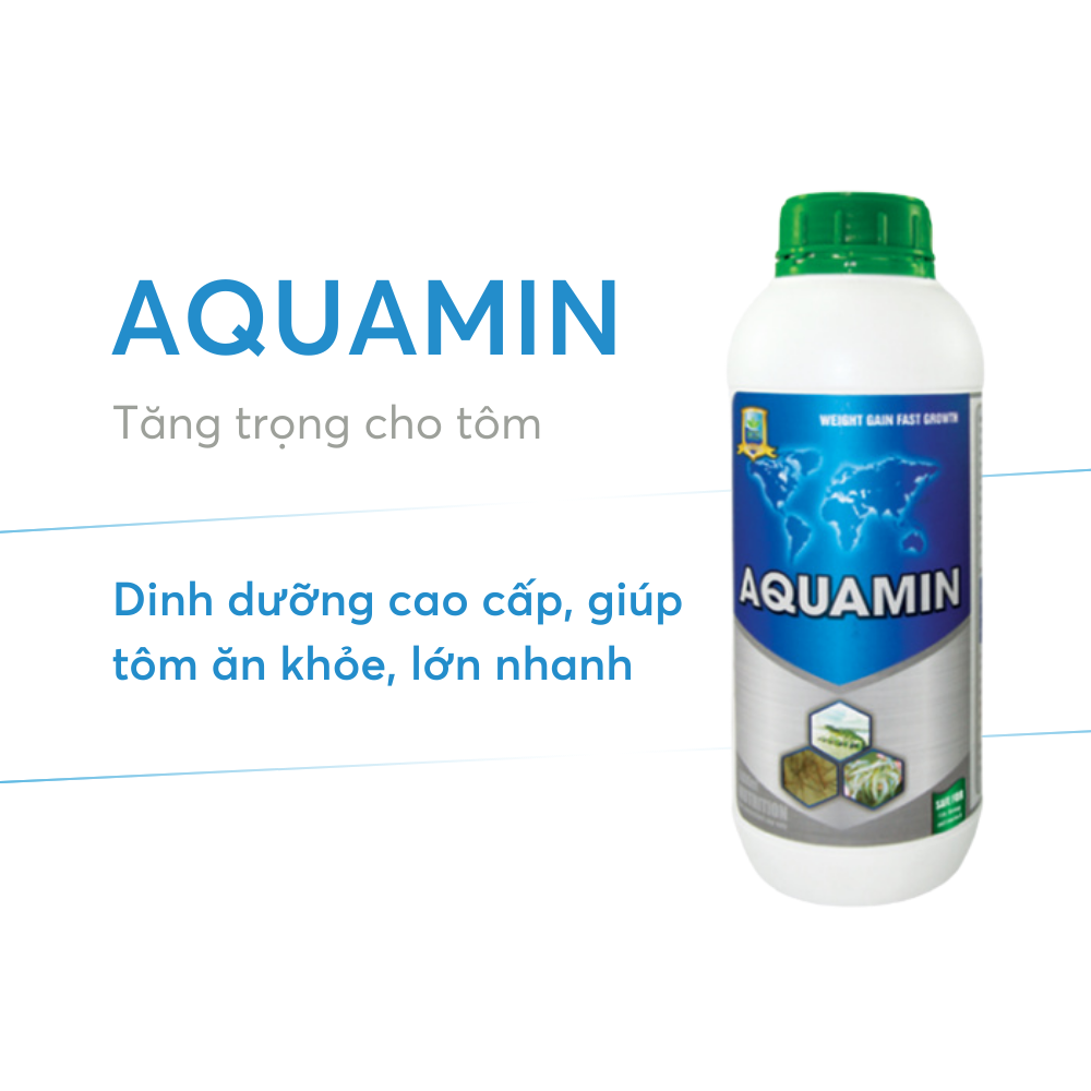 AQUAMIN - Ảnh 4