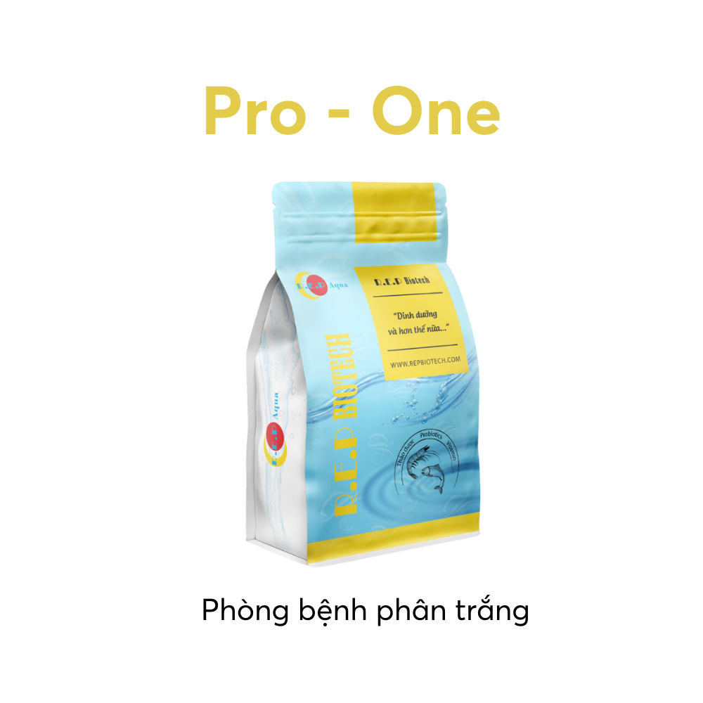 PRO-ONE - Ảnh 2
